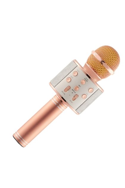 Microfon karaoke wireless pentru copii cu difuzor integrat