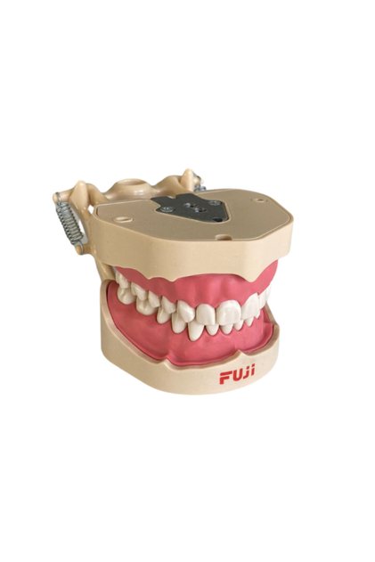 Fuji Diş Etli Çene