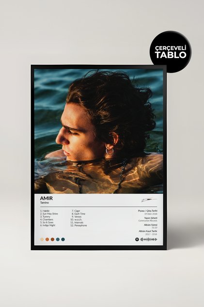 Tamino Amir Albüm Tasarımlı Dekoratif Tablo