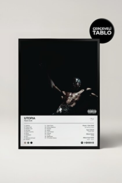 House Gorgeous Arctic Monkeys A.m Albümü Çerçeveli Albüm Tasarımlı