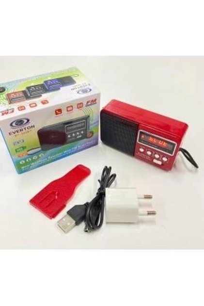 Rt-303 راديو يدوي مع منفذ USB وبطاقة مايكرو