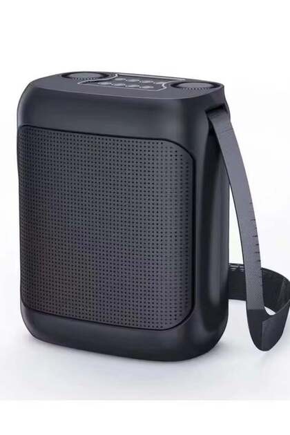YS-220 Outdoor Karaoke Speaker Big Strap Speaker With Dual UHF Wireless Microphone Black