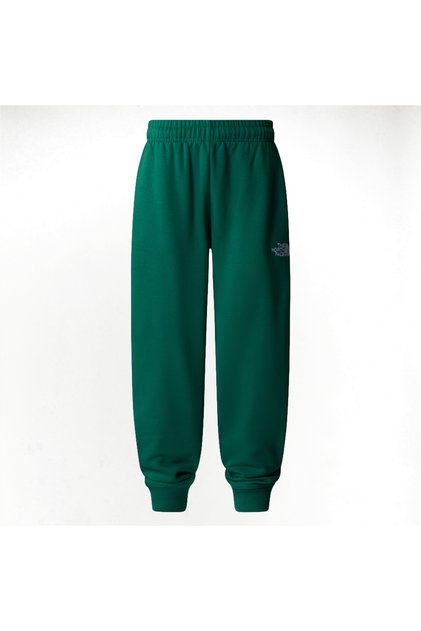 TEEN ESSENTIAL OVERSIZED JOGGERS NF0A89HUNL11 EVERGREEN