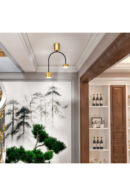 Lampă de tavan, model D20613-2, 2 becuri LED GX53, 3 tipuri de lumină, 24W, negru/auriu