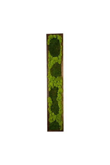 Tablou din lichen 100×15 cm