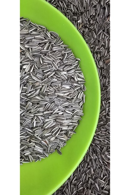 Sultan Papağanı Cennet Papağanı Çekirdeği 1 Kg
