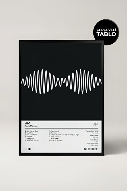 House Gorgeous Arctic Monkeys A.m Albümü Çerçeveli Albüm Tasarımlı
