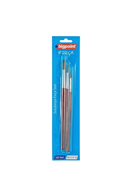 145 Series Round Brush Set 2-6-10 3-Piece Blister