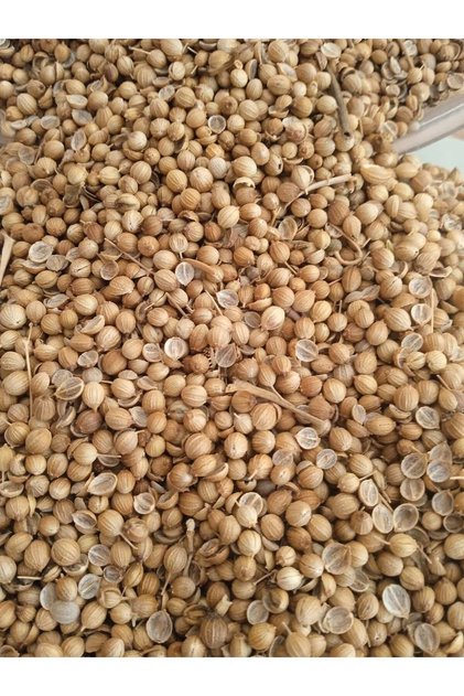 Kişniş Tohumu 100 gr