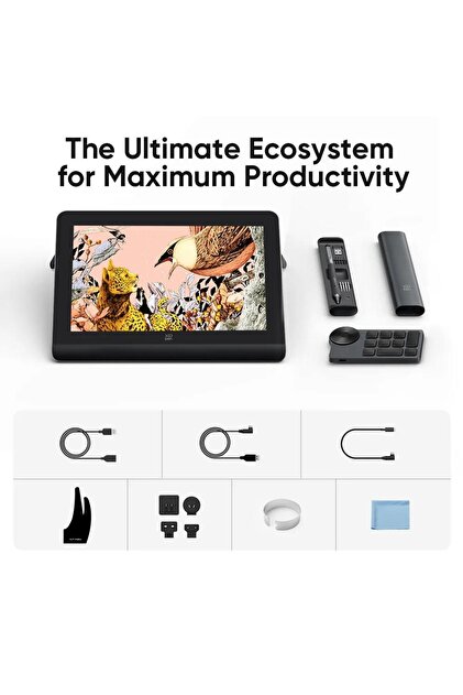 XP-Pen Artist Pro 16 Grafik Ekran Tablet 2nd Generation Siyah