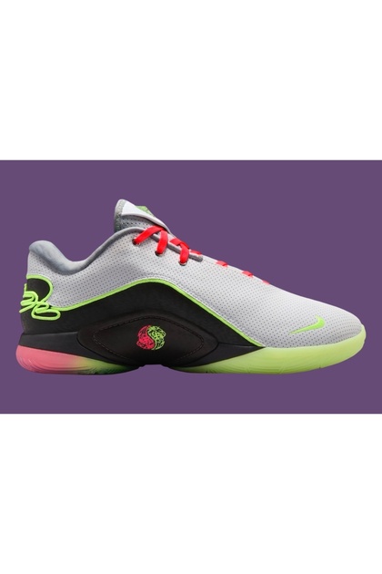 Nike LEBRON 22 MOONLİGHT ERKEK PROFESYONEL BASKETBOL AYAKKABISI