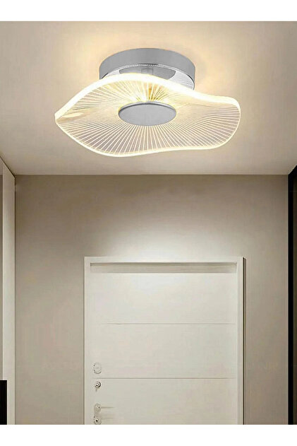白斑ゆれる希少バナナ｜ムサ・アエアエ 7B 約100cm burenze Modern Luxury Jellyfish Tekli Tavana Sıfır Led Avize Şık