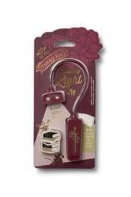 Book Lover's Reading Light Book Reading Lamp - Romantasy