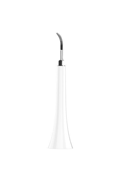 1 Tartar Remove Head Compatible with Philips Sonicare Electric Toothbrush Replacement Brush Heads, M