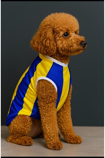 Fenerbahçe Taraftar Kedi Köpek Kıyafeti - Minik FENERBAHÇE lilere Özel Pet Forma