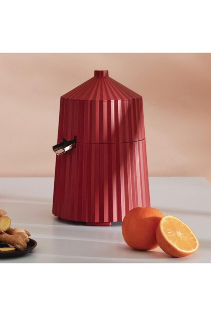 Plisse Citrus Juicer Crusher