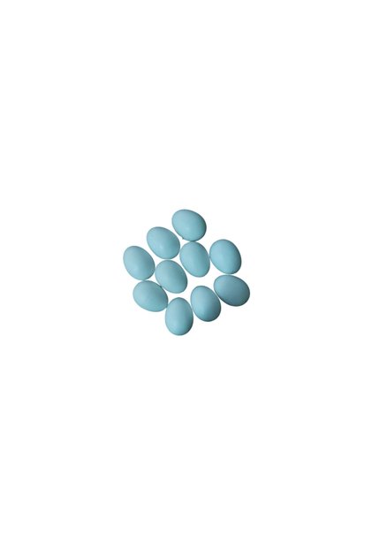 Artificial Pigeon Eggs 10 Pieces