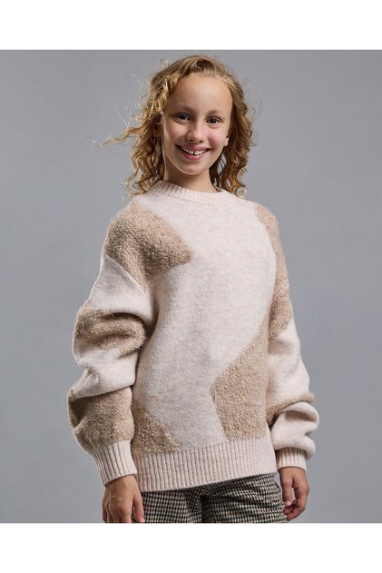 Patterned Sweater with Crew Neck and Long Sleeves