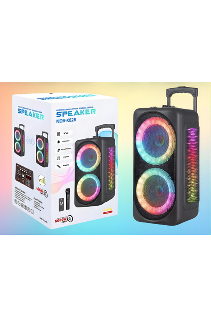 joyplus NDR-X828 10''x2 İNÇ 40 W OUTPUT POWER PARTİ ORGANİZASYON