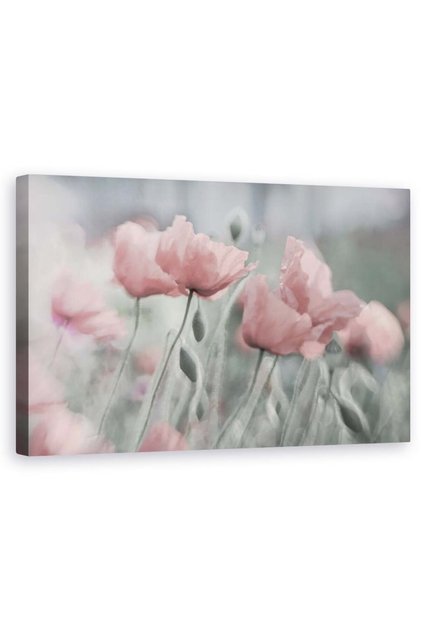 Tablou Canvas - Incet, Floare, Vara, Romantic, Gradina, Roz, Mac, 50 x 80 cm