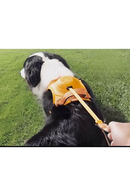 Köpek Tasması Gövdelik Ve Göğüslük Otomatik Toplama Rahat Ve Konforlu Yürüyüş Tasma