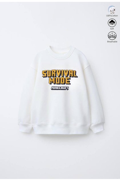 Boy's Cotton 3 Thread Non-Brushed Sweatshirt