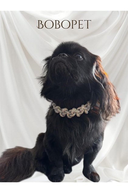Örgü Taşlı Kedi & Köpek Kolyesi