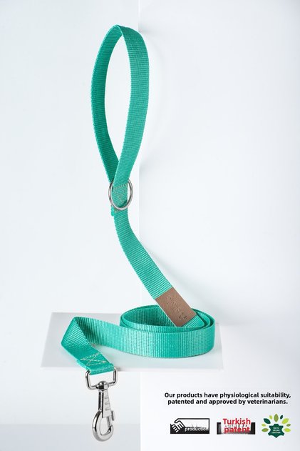 Dog Collar, Dog Walking Harness Strap, Adjustable, Sturdy Dog Collar - Lente