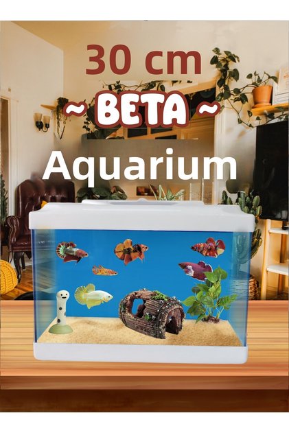 30 cm Aquarium 30 cm Beta Aquarium MDizmir Petshop New Production