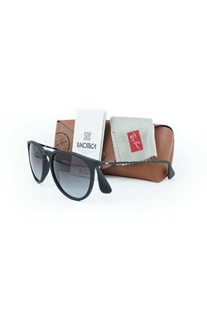 Ray-Ban RAYBAN RB4171 622/8G 54 3N Erika Mat Siyah Unisex Güneş