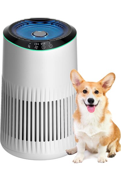 MORENTO MR2566 Air Purifier - True HEPA for Smoke, Dust, Pollen, Pet Dander, 22dB, Aromatherapy, Nig
