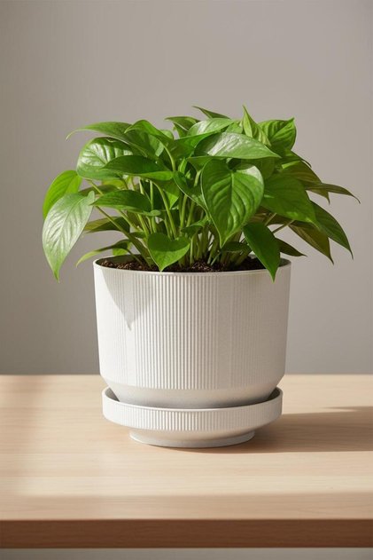 6 Litre Gri Dekoratif Lüks Saksı Iç Dış Mekan Tabaklı Plastik Çiçek Saksısı