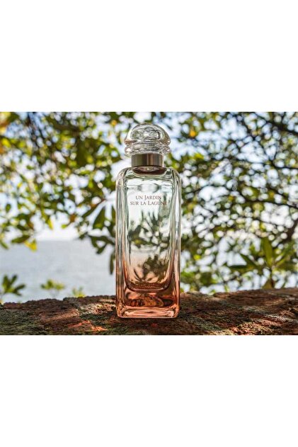 Hermes Un Jardin Sur La Lagune 100 ml Edt - Fiyatı, Yorumları