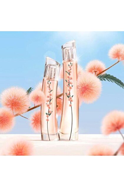 Kenzo Flower Ikebana Mimosa By Edp 75 ml - Fiyatı, Yorumları