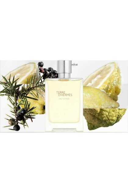 Hermes Terre D EAU Givree Edp 100 ml - Fiyatı, Yorumları