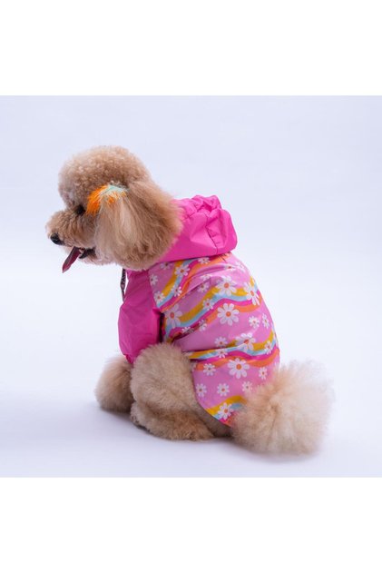 Florence Daisy Pembe Papatya Desenli Daisy Köpek Mont Köpek Yağmurluk Köpek Kıyafeti Köpek Elbisesi