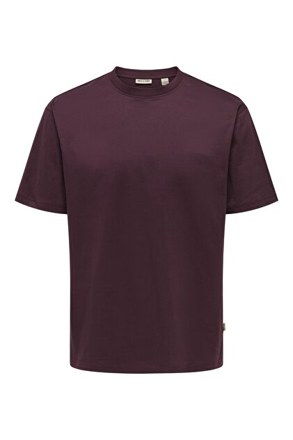 Only & Sons ONSDEAN RLX SS DOUBLE LAYER TEE Erkek Kahverengi T