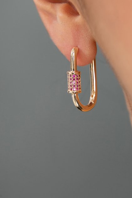 Women's Pink Stone Embellished Hook Earrings