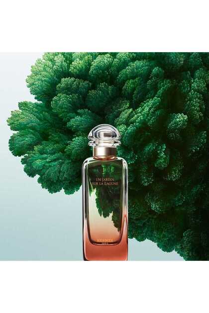 Hermes Un Jardin Sur La Lagune 100 ml Edt - Fiyatı, Yorumları