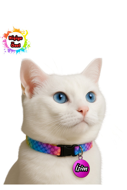 isimli Kedi Tasması kedi künyesi isimliği Yuvarlak mor kırmızı siyah yeşil mavi