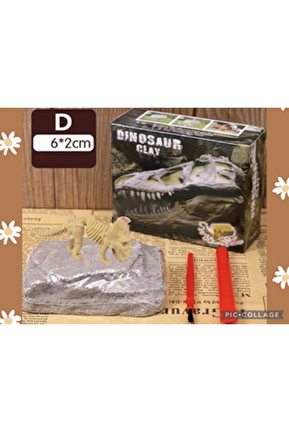 AZİZ OYUNCAK Stegosaurus Tür Iskelet Fosil Dinazor Kazı Kiti