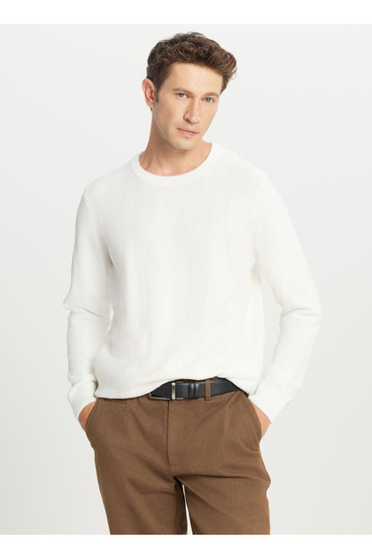 Crew Neck Standard Ecru Men's Sweater Ace049261266_Ekr