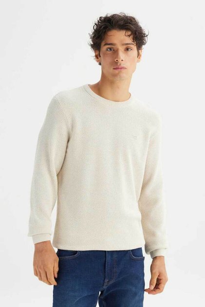 Cotton Regular Fit Regular Cut Crew Neck Knitwear Sweater