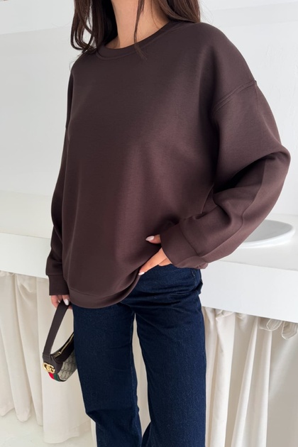 Brown Modal Fabric Basic Sweatshirt