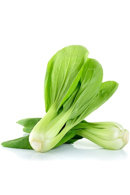 20 Adet Çin Lahanası Tohumu Bok Choy Tohumu
