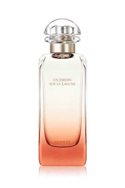 値下げ！エルメスUN JARDIN SUR LA LSGUNE香水 Hermes Un Jardin Sur La Lagune 100 ml Edt - Fiyatı, Yorumları