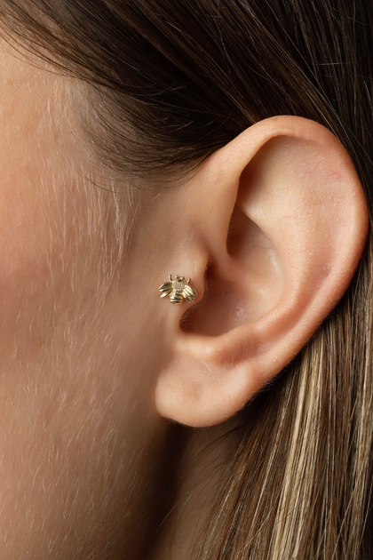 Arı Piercing-tragus