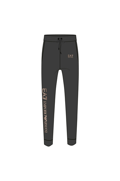 Pantaloni W PANTS CH EXTENDED LOGO BR