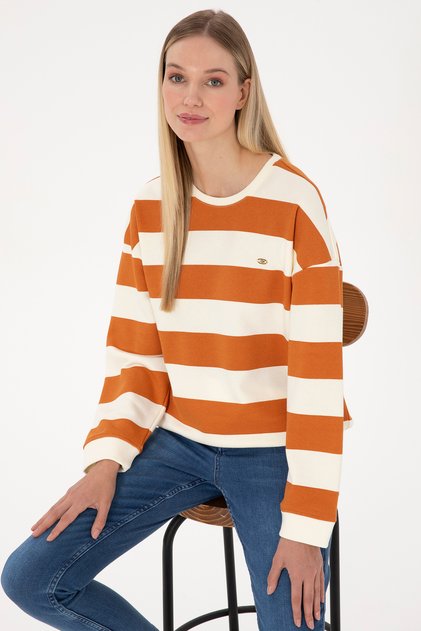 Kadın Bakır Çizgili Bisiklet Yaka Sweatshirt 50313563-VR182