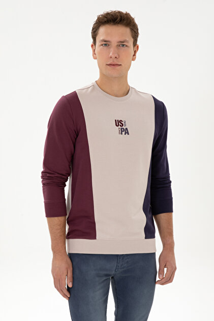 Erkek Regular Fit Bisiklet Yaka Taş İnce Sweatshirt 50316379-VR049